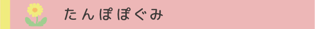 すみれぐみ内容